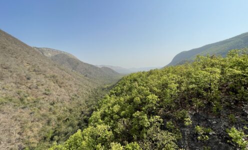 RAJGIR – THE HIDDEN GEM