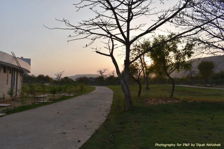 Towards the safari ride