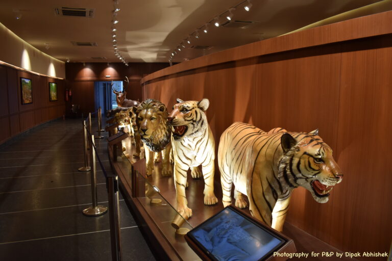 The lions at the Museum